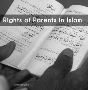 Sunnahs of Expressing Love to Your Parents